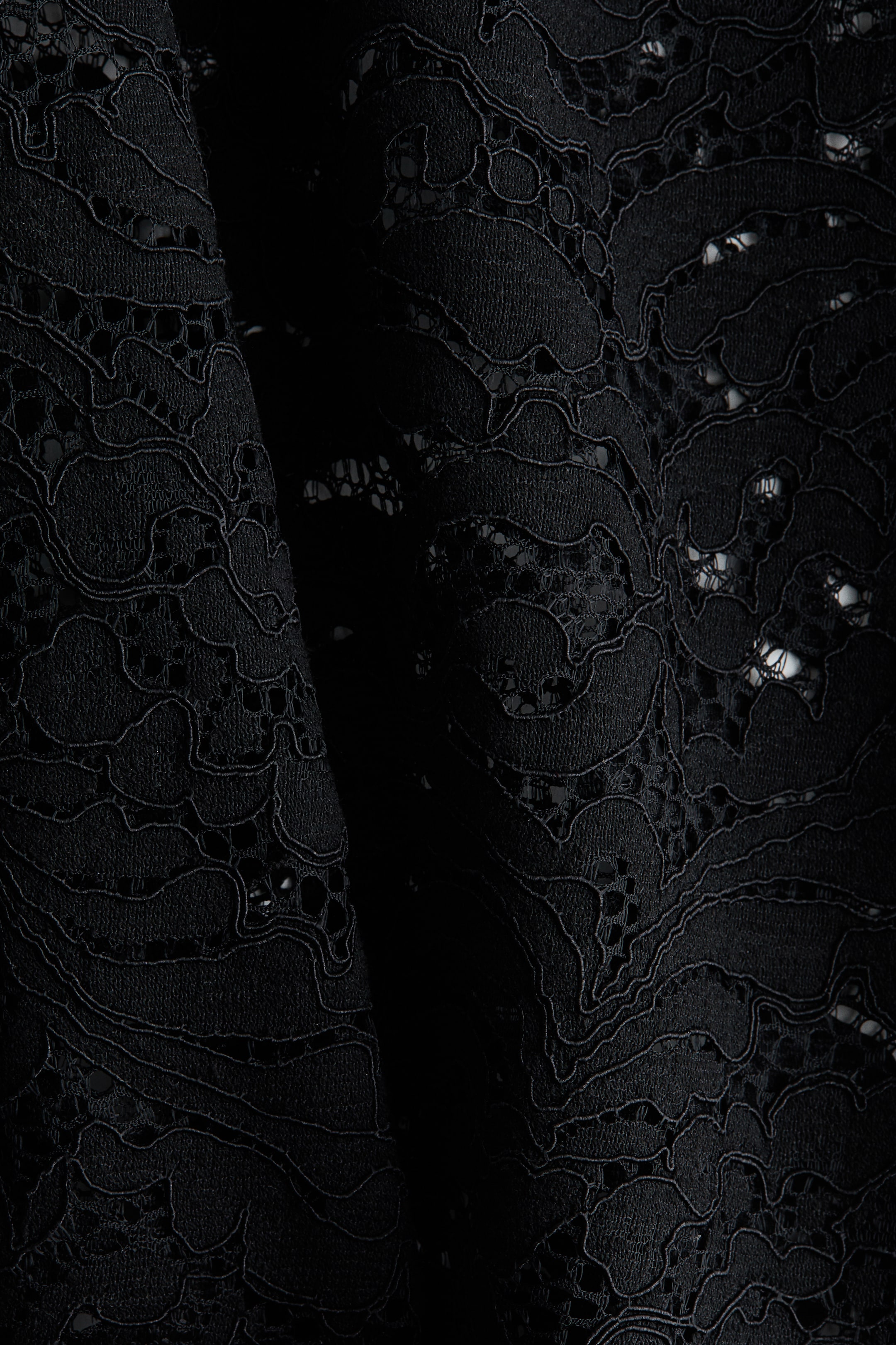 View larger image: Lace pencil skirt - Black - Ladies | H&M IN 6