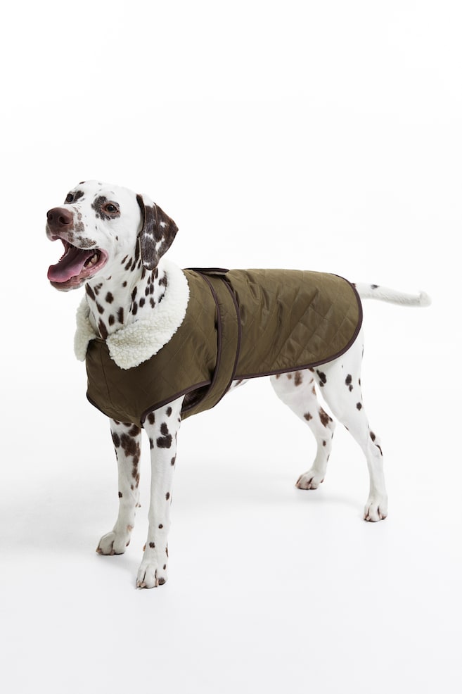 Tikattu koiran takki - Khakinvihreä/Musta/Tumma khakinvihreä/Pistaasinvihreä - 1