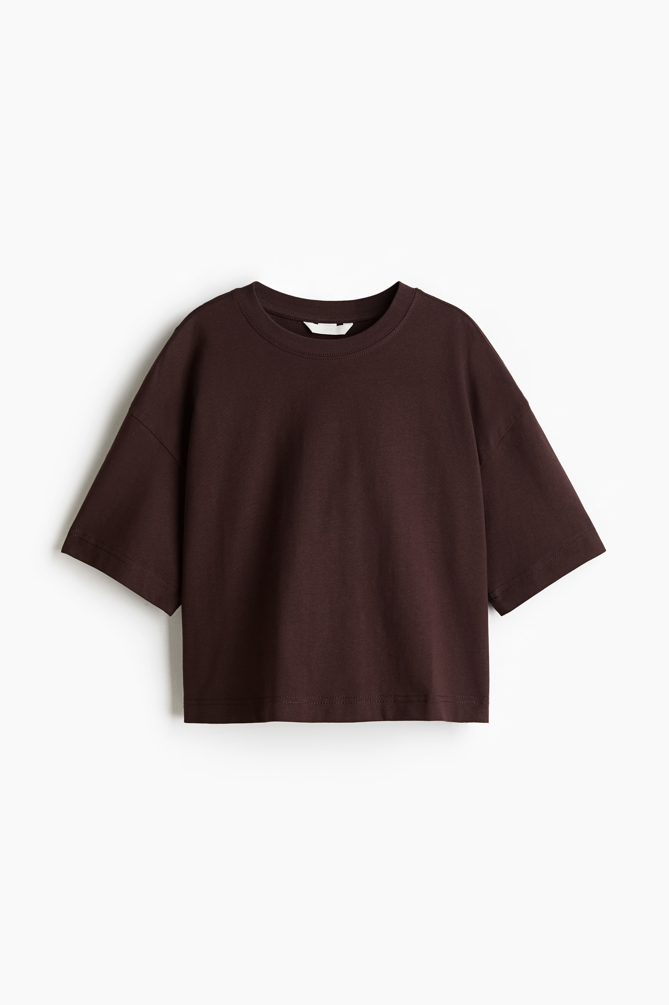 Oversized T-shirt from H&M - $10.99