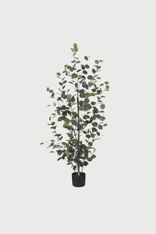 Eukalyptus Kunstpflanze - Grün - 1