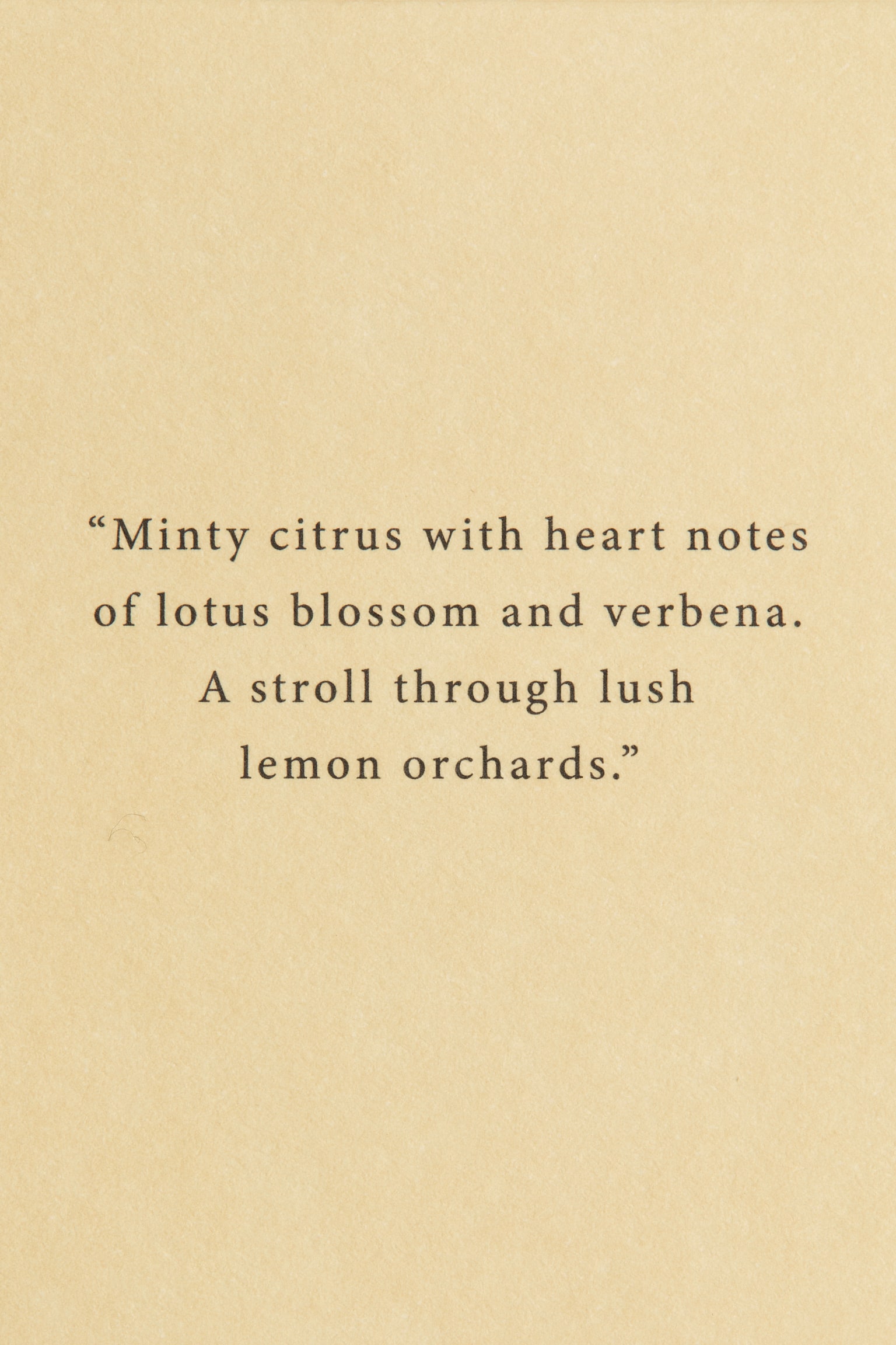 Scented candle in a glass holder - Lemon Verde/Vanilla Patchouli/Minted Fig/Sequoia Santal/Eucalyptus Mist - 6