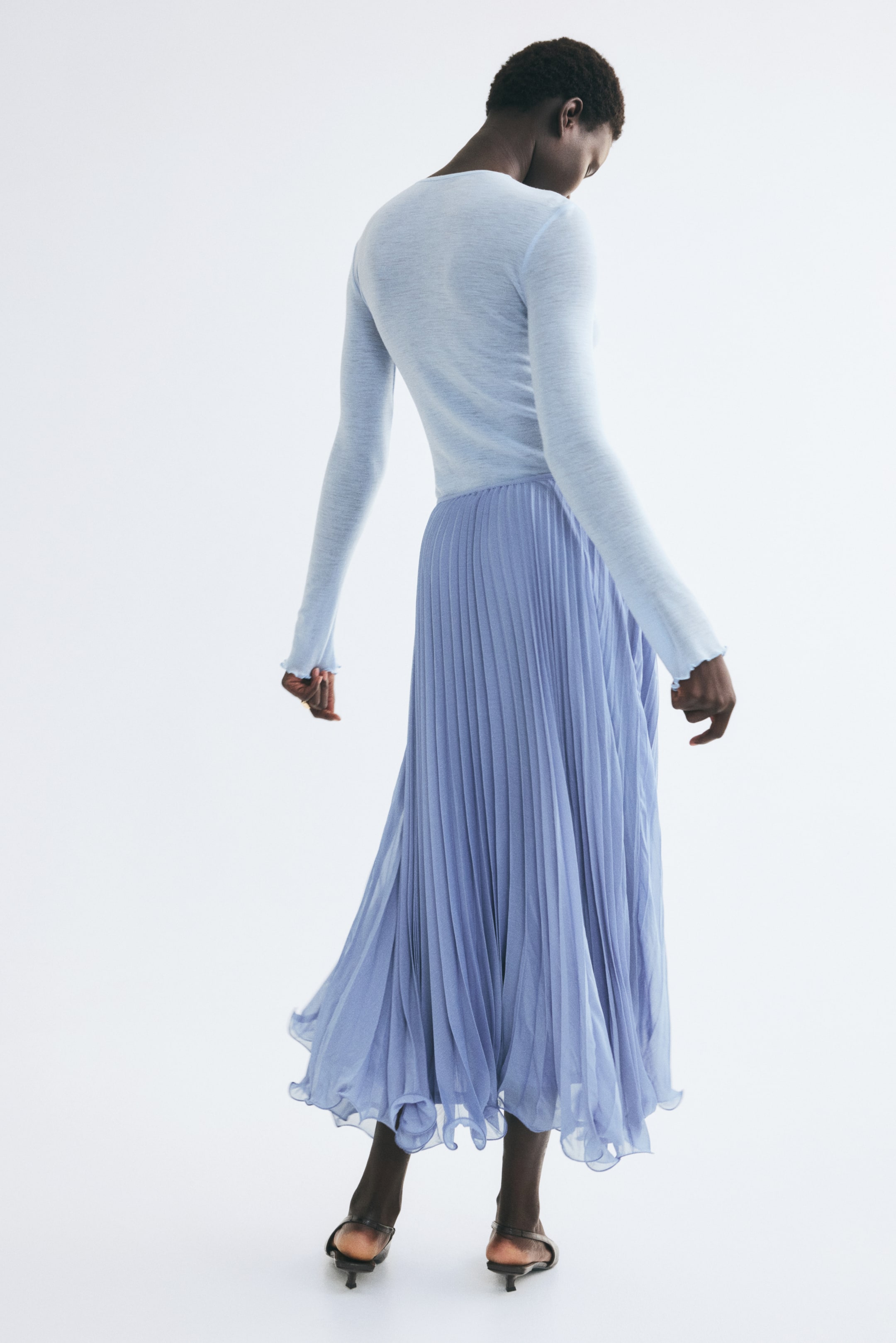 Sheer Pleated Skirt