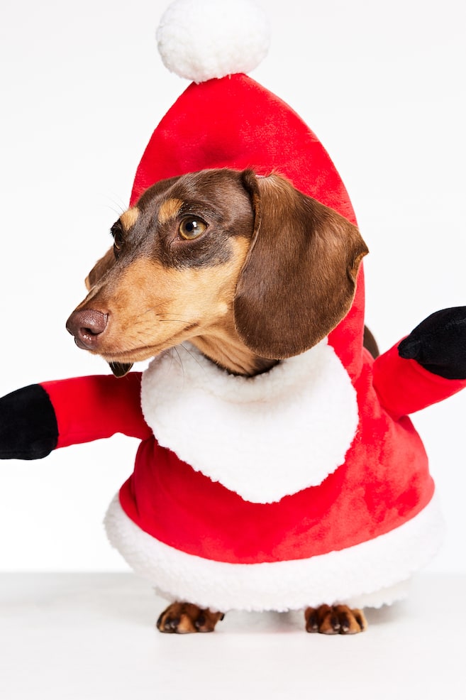 Julemandsdragt til hund - Rød - 1