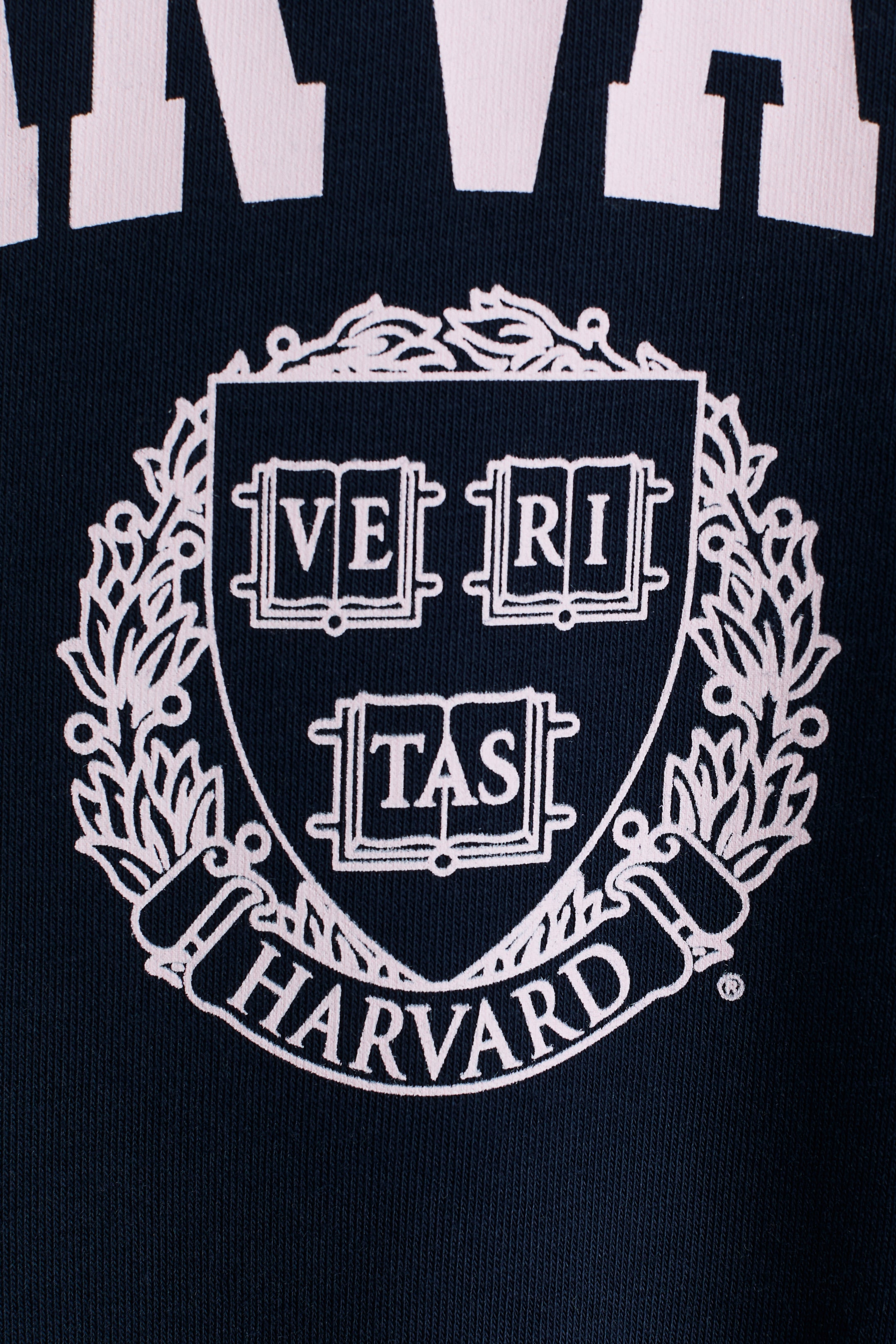 Printed Brushed-Inside Sweatshirt