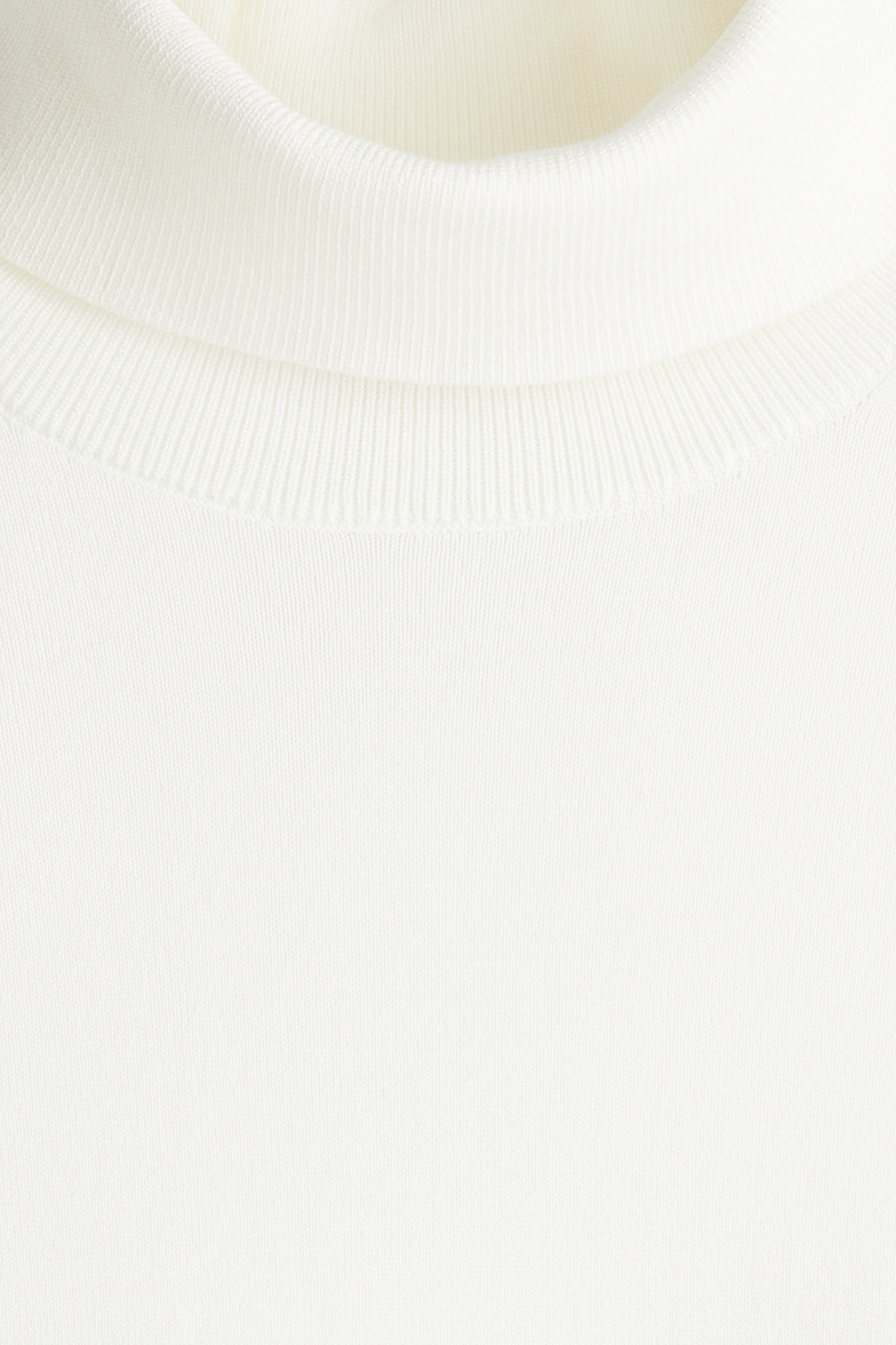 Regular Fit Polo-neck jumper