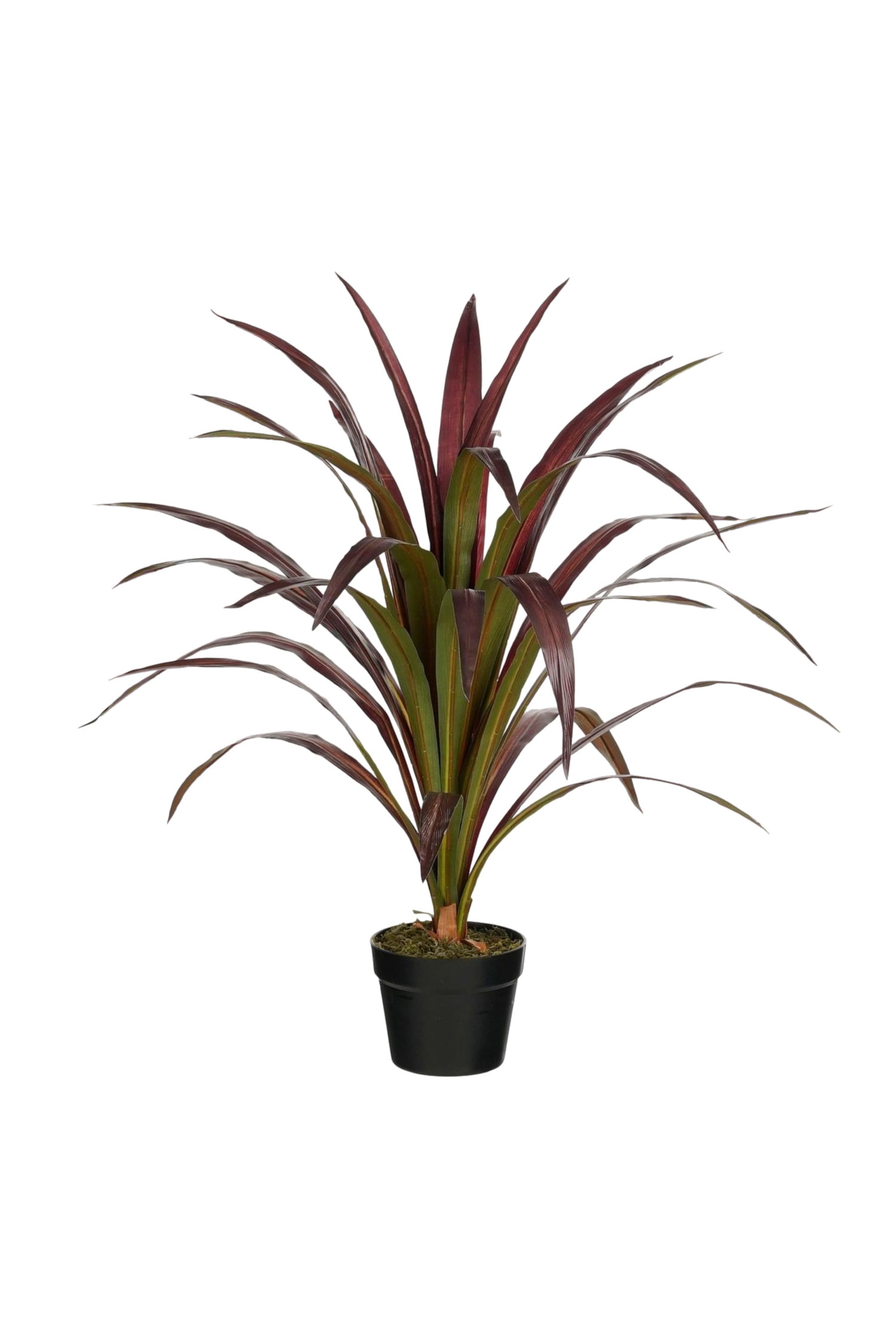 Grotere afbeelding bekijken: Bananenboom Kunstplant - Rood - Mica Decorations - HOME | H&M BE 1