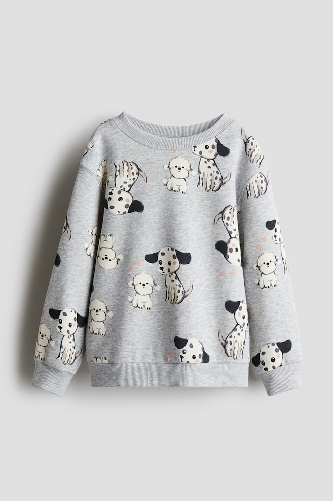 Sweatshirt - Light grey/Patterned/Brown/Leopard-print - 1