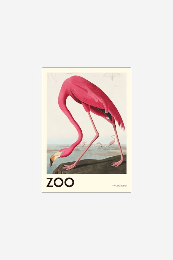 А.п. Ателье - Zoo Collection — Розовый Фламинго 01