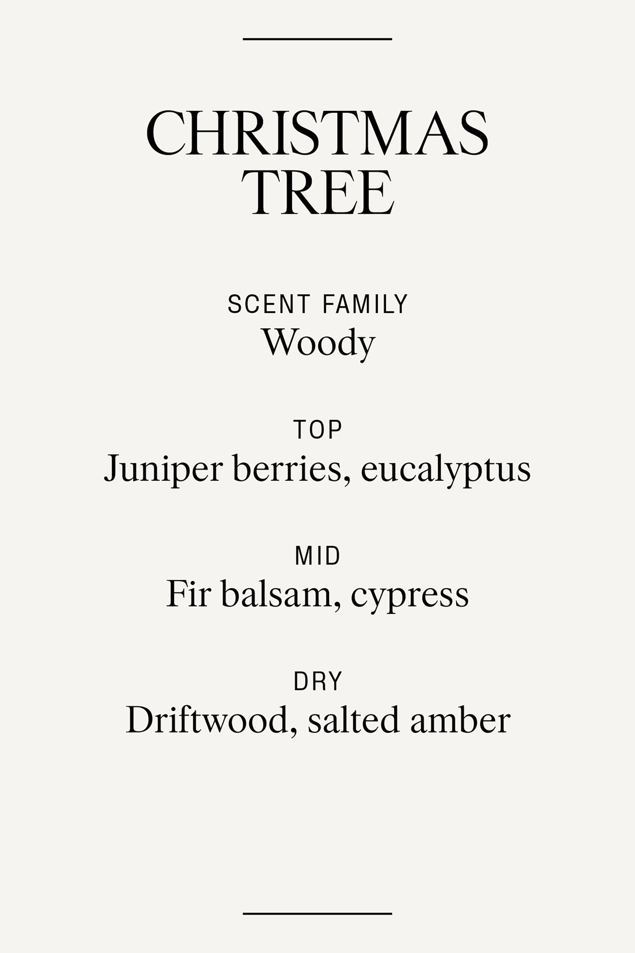 Agrandir l'image: Le profil olfactif du « SAPIN DE NOËL » détaille sa composition. Il répertorie une famille de parfums « Boisé », avec des notes de tête de baies de genévrier et d'eucalyptus, des notes de cœur de sapin baumier et de cyprès, et des notes de fond de bois flotté et d'ambre salé.