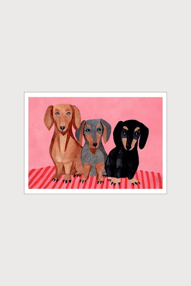 Iga Illustrations - Dachshunds - Farverig/hunde - 1