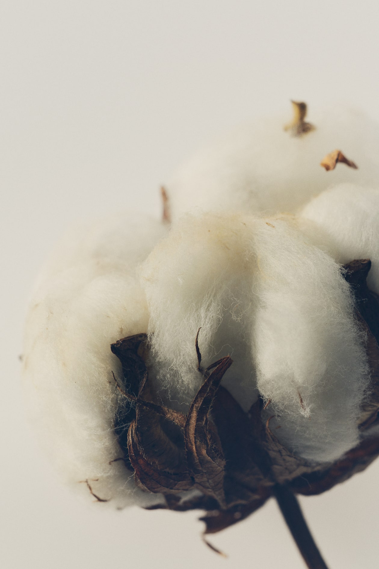 Modern Minimalist Fragrance - image 3