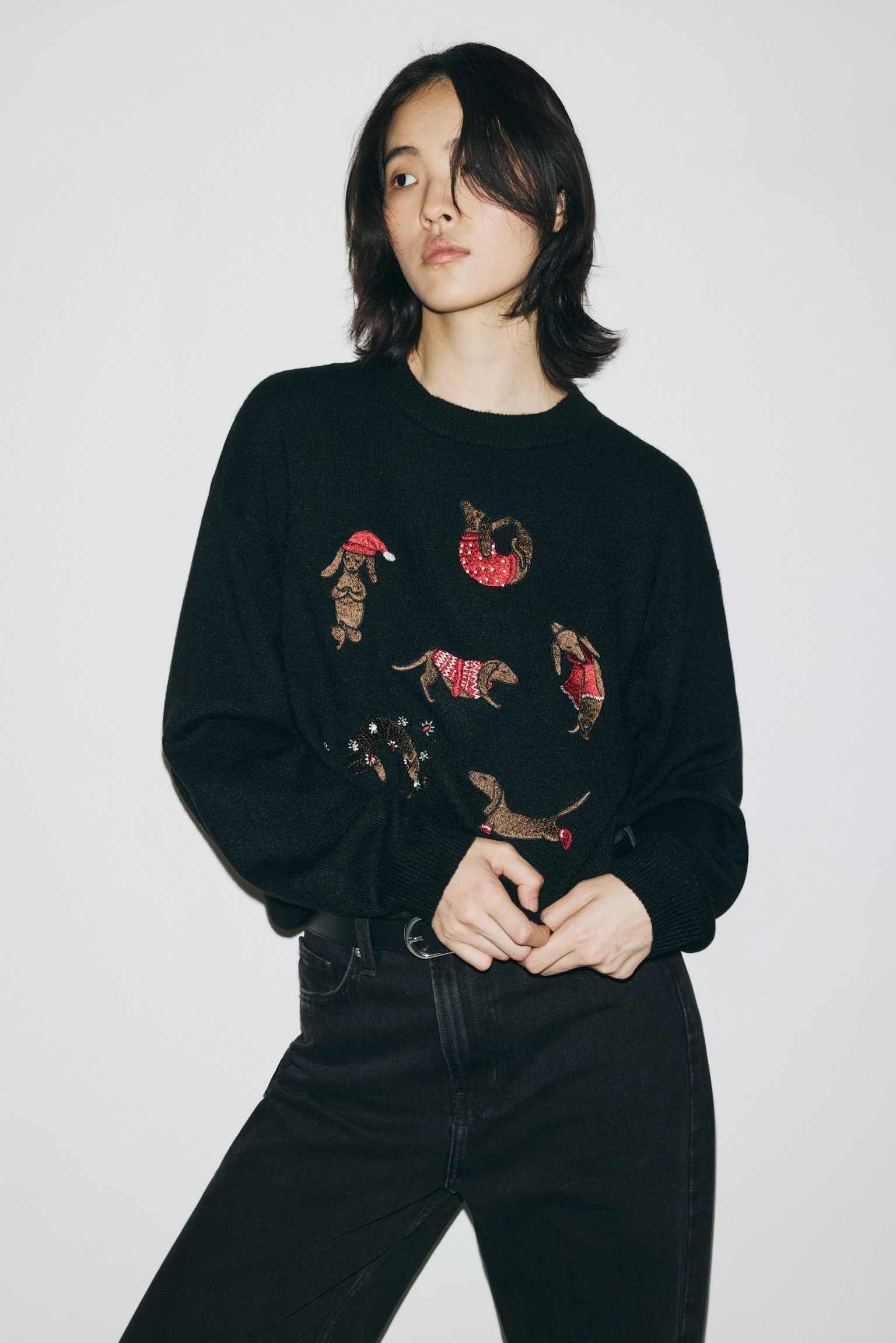 Embroidered jumper - Black/Dogs - 1