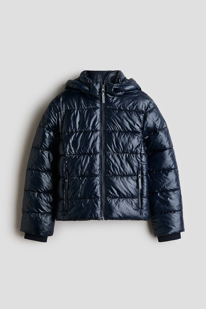 Hooded puffer jacket - Navy blue/Cream - 1