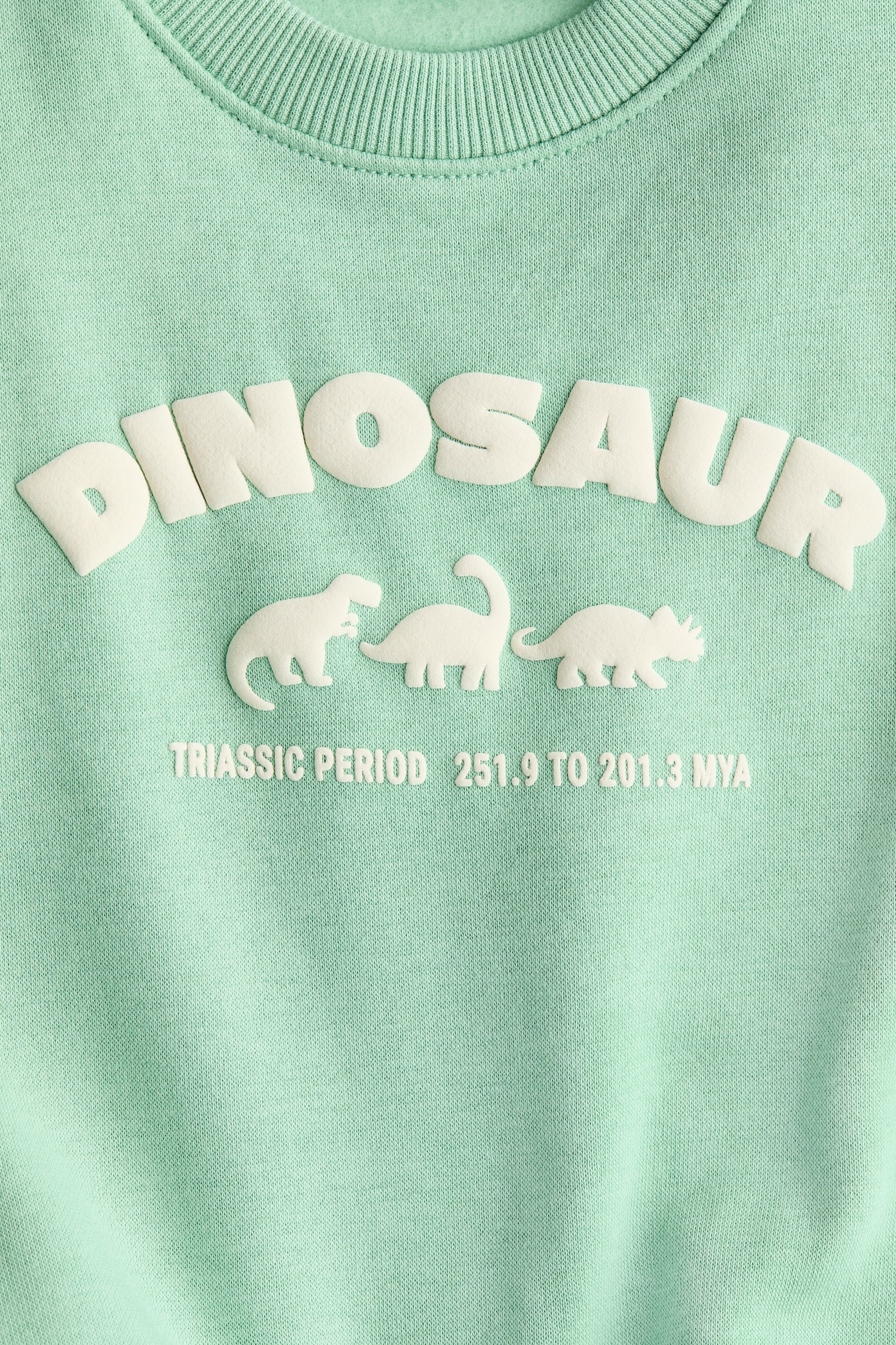 Printed sweatshirt - Light green/Dinosaur/Cream/Cars/Light brown/1975/Light grey/Dinosaurs - 4