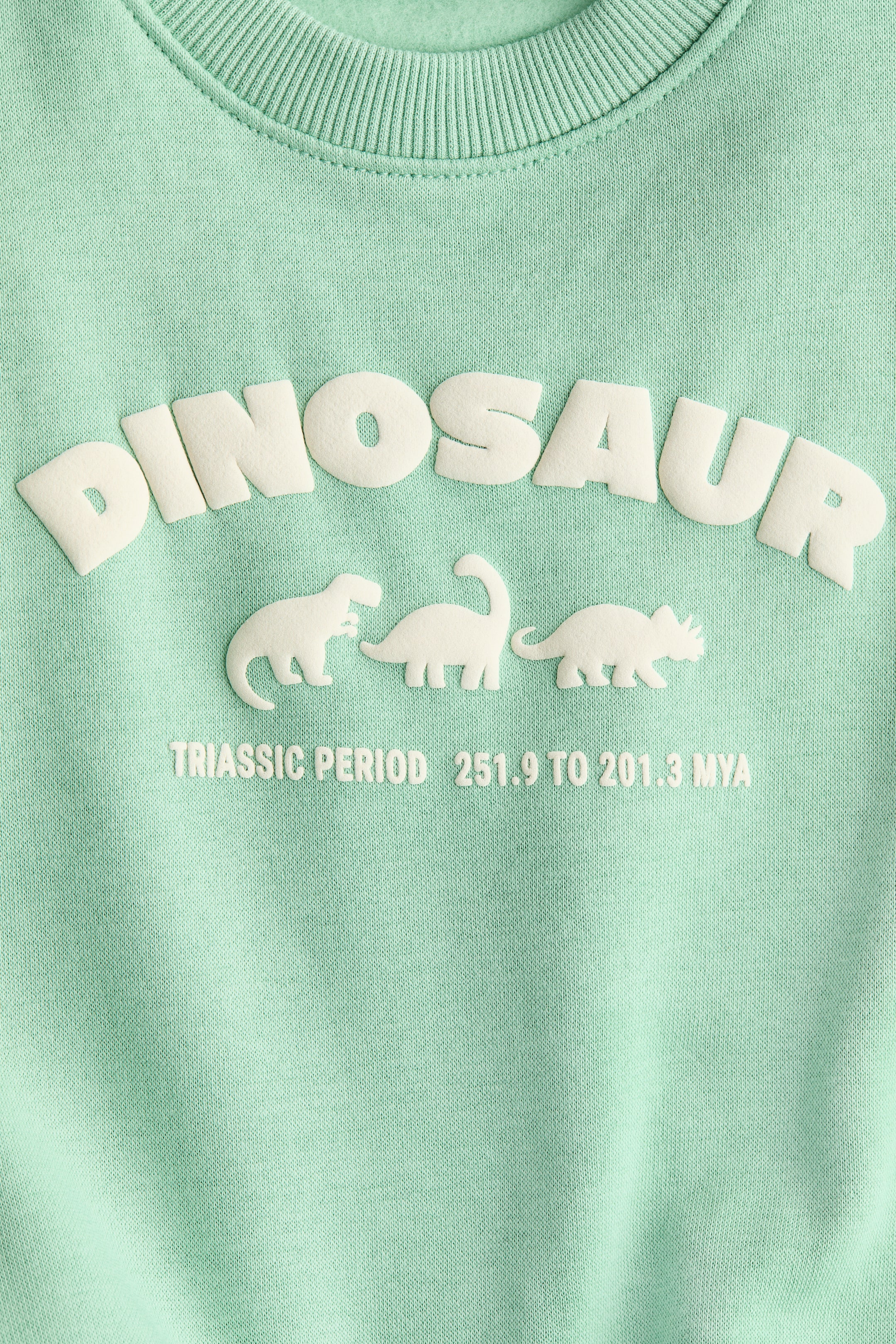 Visualizza immagine più grande: Felpa con stampa - Verde chiaro/dinosauro - BAMBINO | H&M IT 4