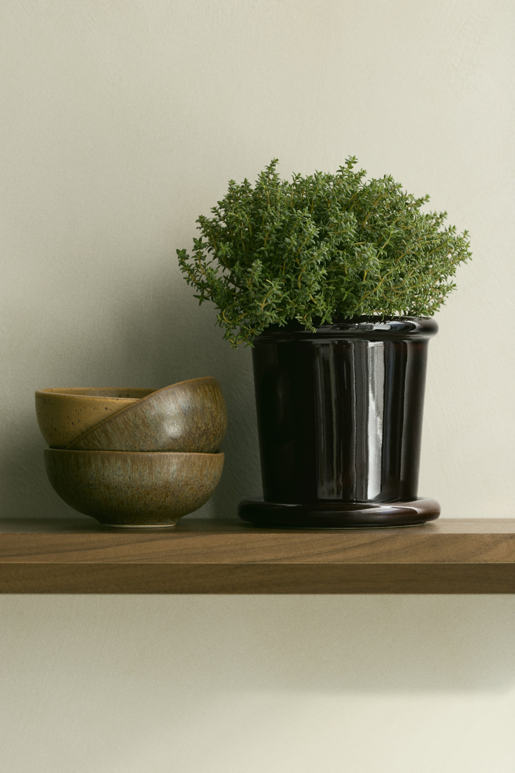 View larger image: A petite plant pot crafted from dark brown stoneware with a glazed finish is positioned front-facing, showcasing vertical fluting along its sides and a rounded rim. It rests on a matching dark brown saucer.
