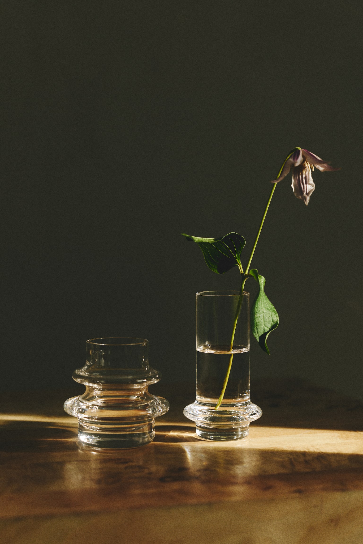 2-Pack Glass Mini Vases - Transparent/Pink - 1