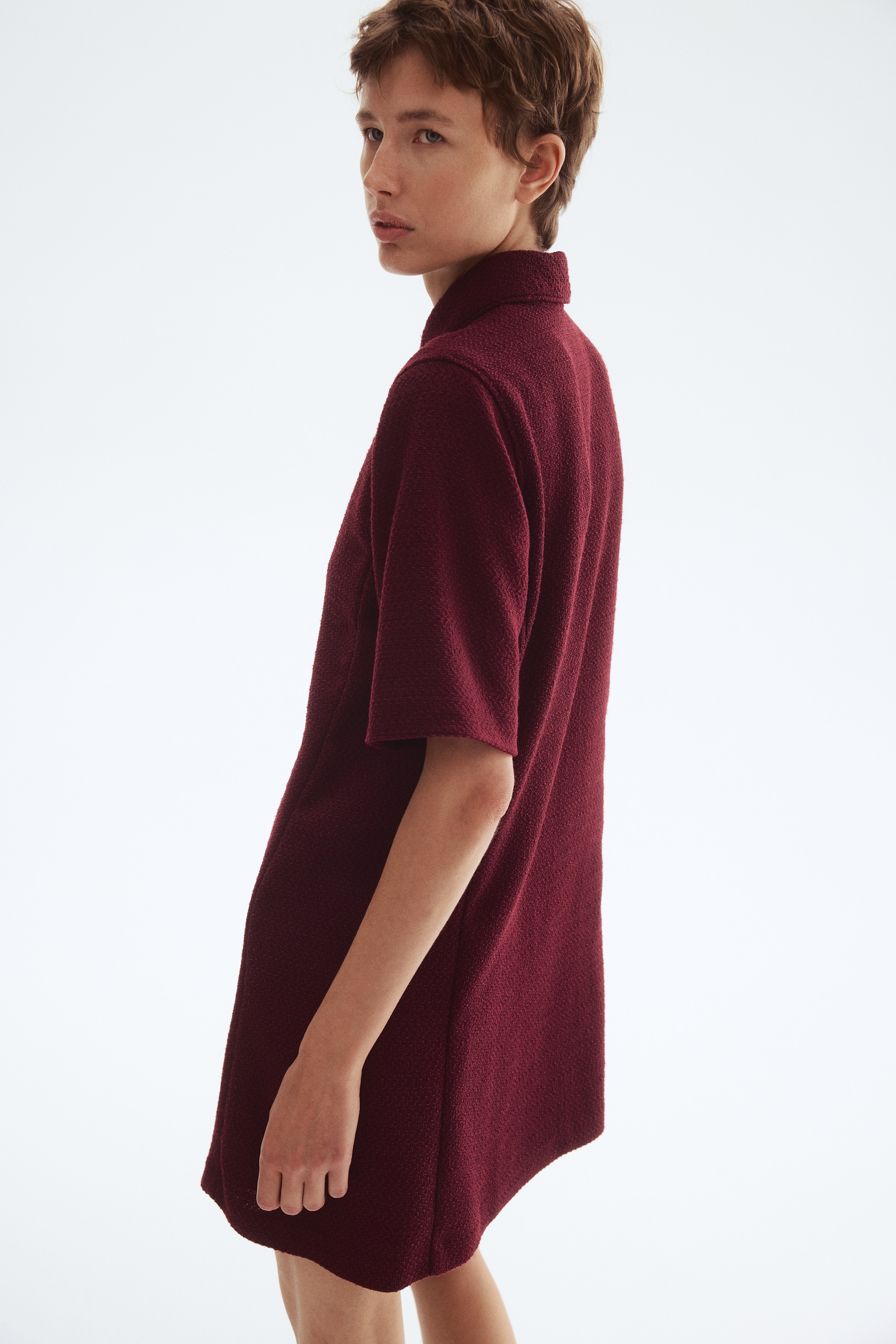 Women's Burgundy Boucl Dress with Collar | H&M CA