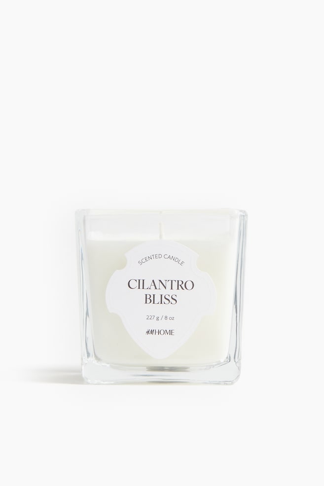 Bougie parfumée dans un pot en verre - Cilantro Bliss/Winter Spices/Yuzu Blossom/Untamed Rose - 1