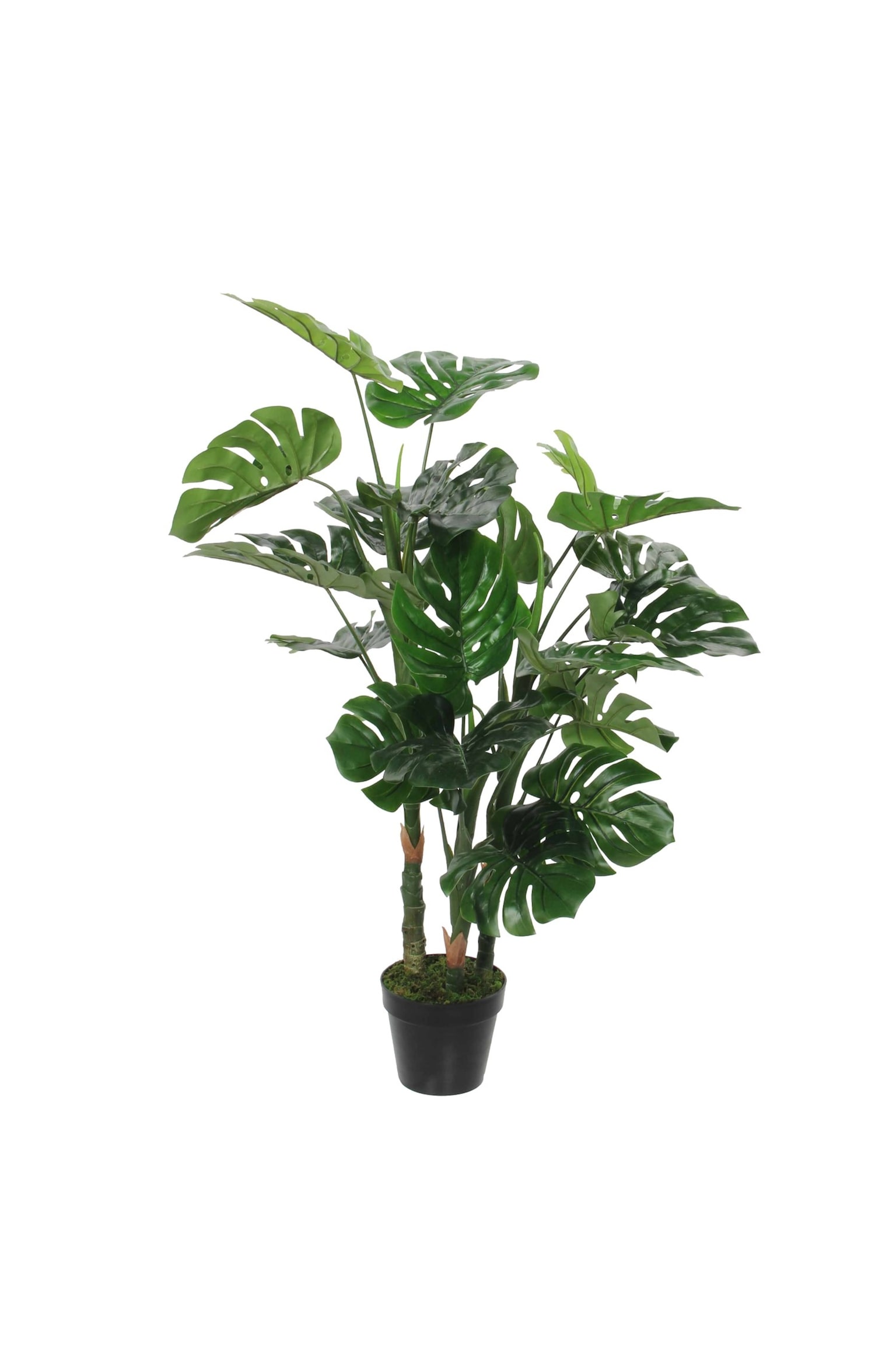 Planta Artificial Monstera - Verde - 1