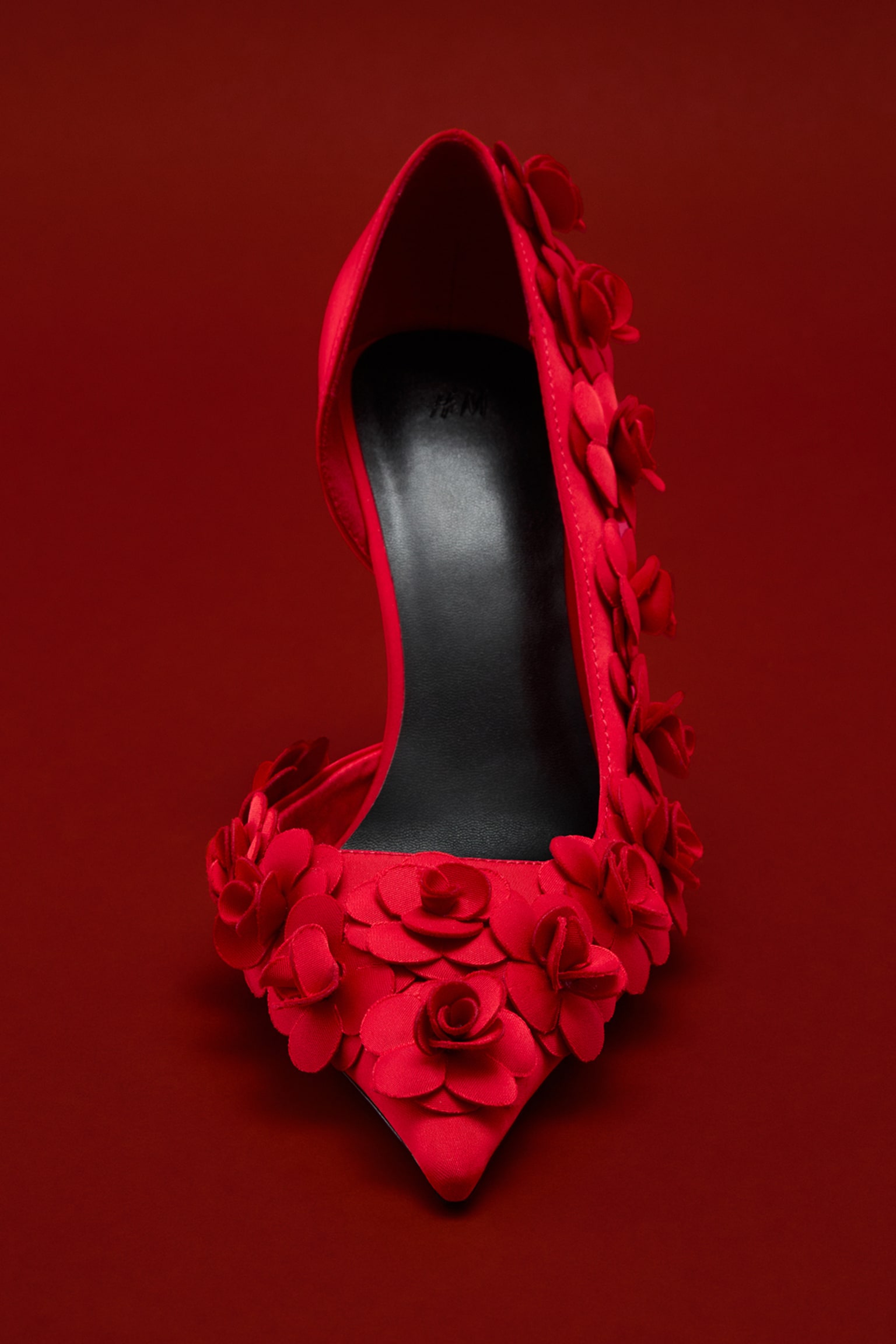 Appliquéd pointed court shoes - Red