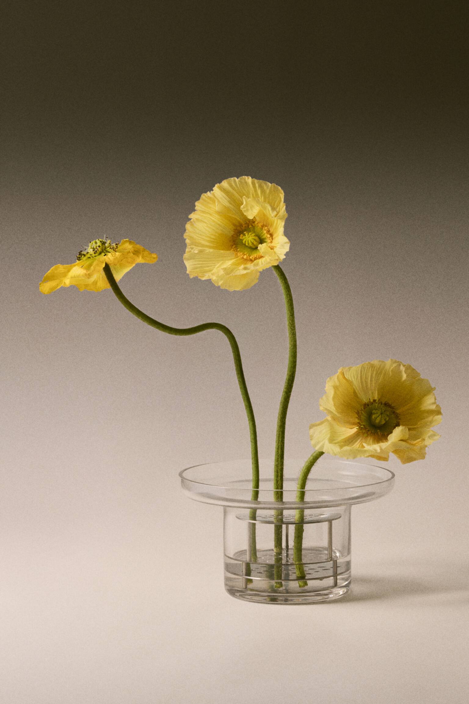 Vase Ikebana en verre - Transparent/argenté