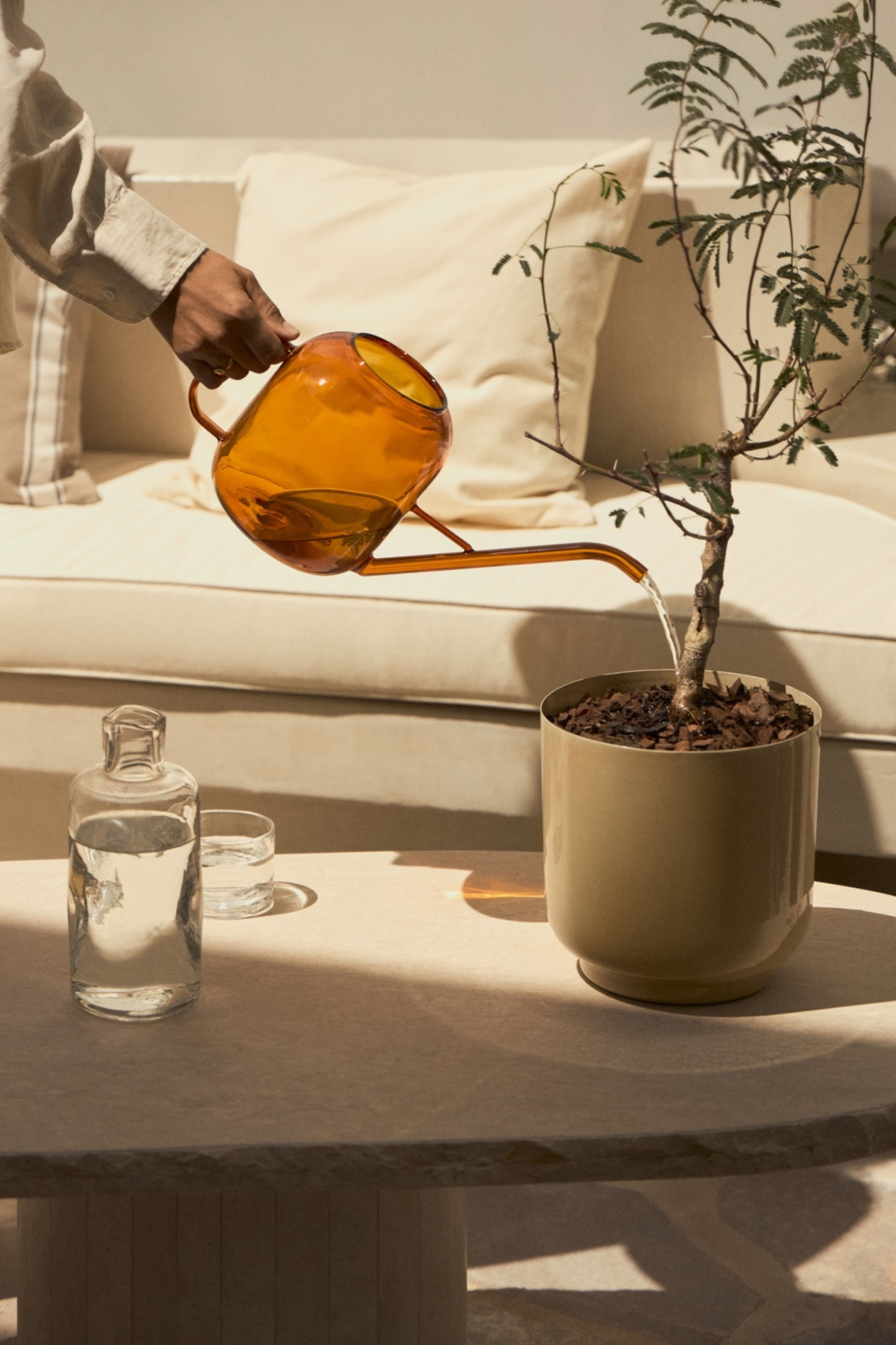 屋外で使える植木鉢 | H&M HOME