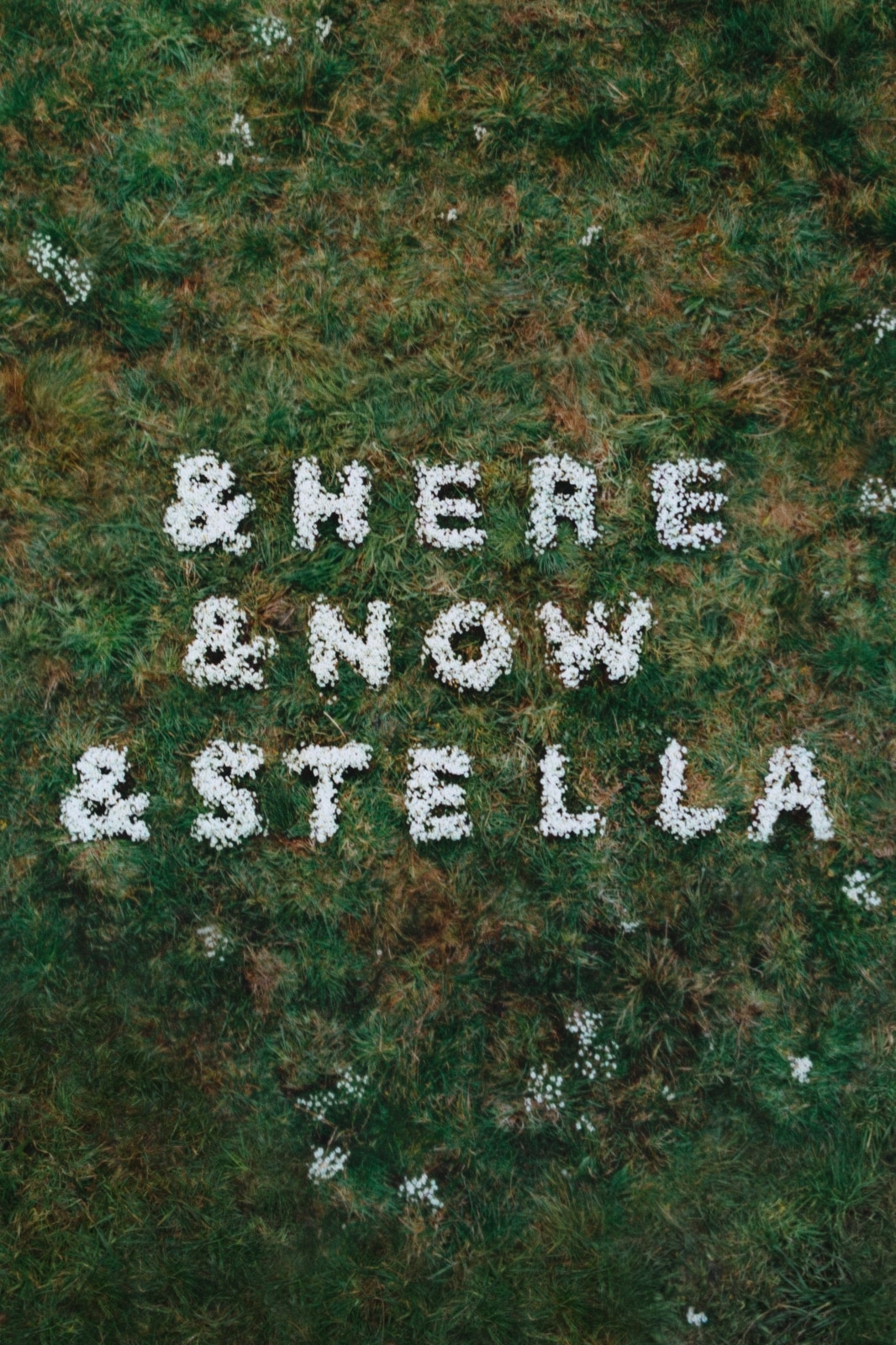 【5/12 15時まで】STELLA MCCARTNEY  コラボ Stella McCartney | H&M