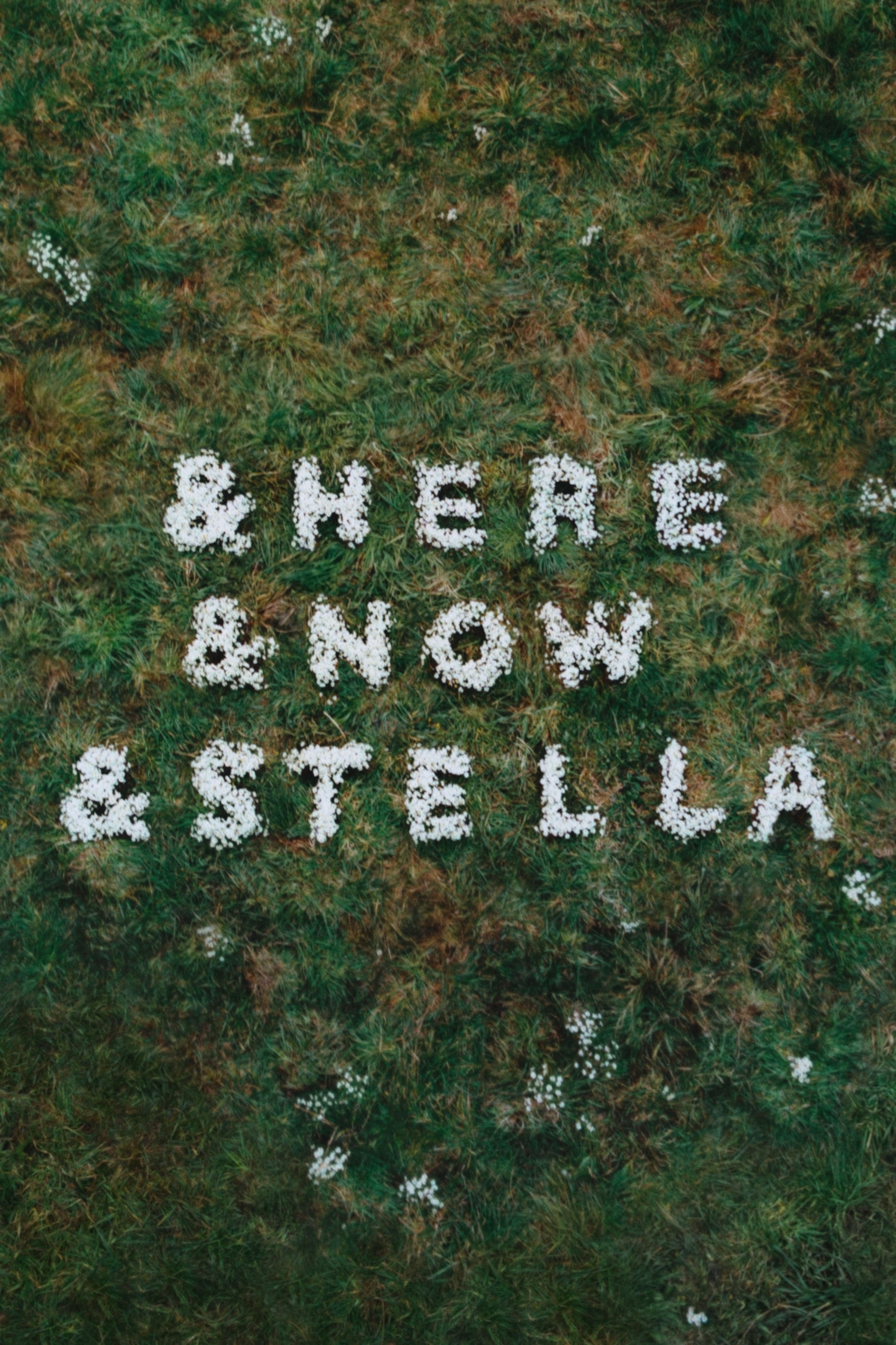 Stella McCartney | H&M